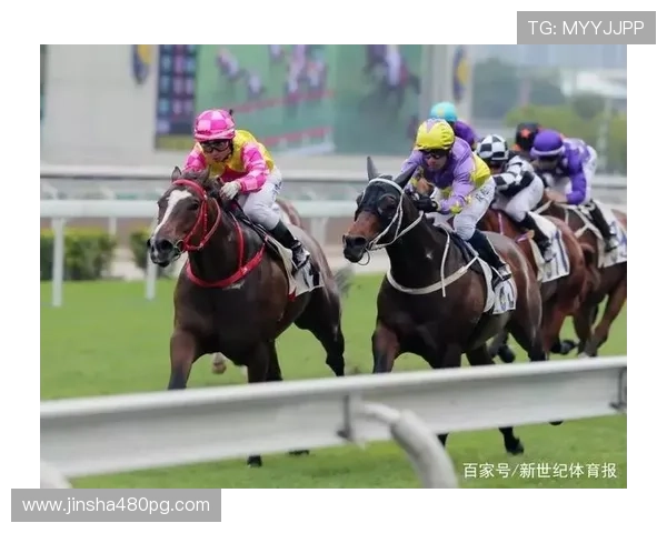 PC端风云直播:畅享高清赛事,尽在指尖风云